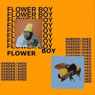Flower Boy cover wallpaper