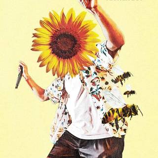 Flower Boy cover wallpaper