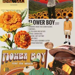 Flower Boy cover wallpaper