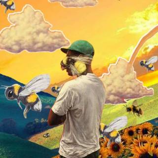 Flower Boy cover wallpaper