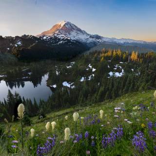 American landscape wallpaper