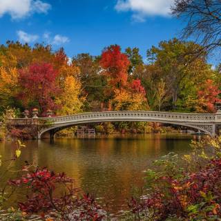 American landscape wallpaper