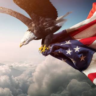 Eagle desktop dark wallpaper