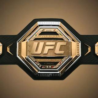 UFC champion wallpaper