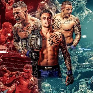 UFC champion wallpaper