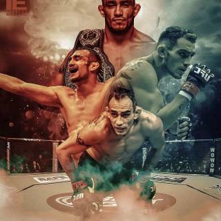 UFC champion wallpaper