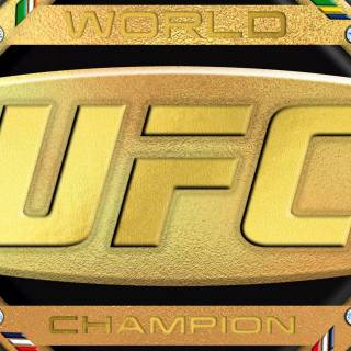 UFC champion wallpaper