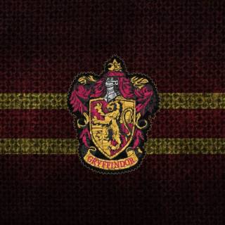 Godric Gryffindor wallpaper