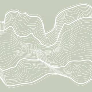 Contour lines wallpaper