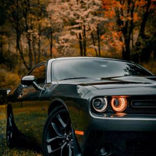 Dodge Challenger car wallpaper