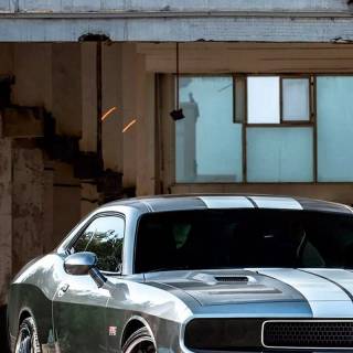 Dodge Challenger car wallpaper