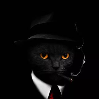 Smoking cat wallpaper