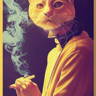 Smoking cat wallpaper