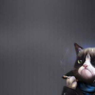 Smoking cat wallpaper