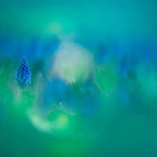 Colour grading wallpaper