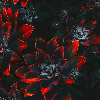 Colour grading wallpaper