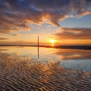 Colour grading wallpaper