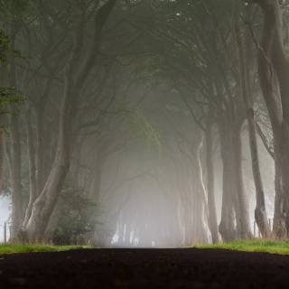 Colour grading wallpaper