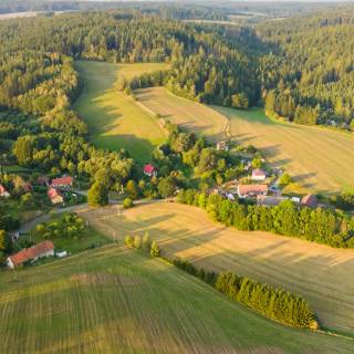 Afforestation wallpaper