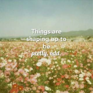 Pretty. Odd. wallpaper