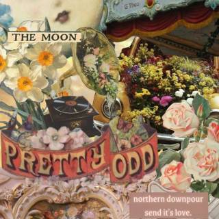 Pretty. Odd. wallpaper