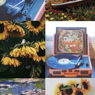 Pretty. Odd. wallpaper