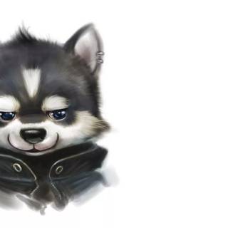 Anime husky wallpaper