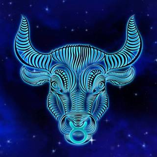 Taurus collage wallpaper