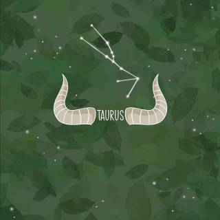 Taurus collage wallpaper