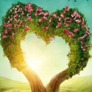Nature heart wallpaper