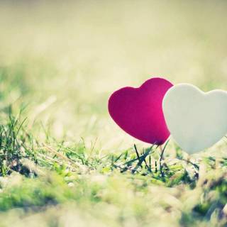 Nature heart wallpaper