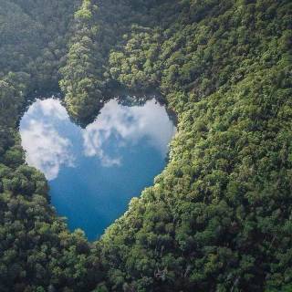 Nature heart wallpaper