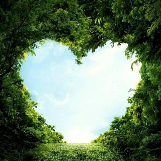 Nature heart wallpaper