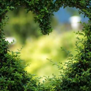 Nature heart wallpaper