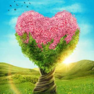 Nature heart wallpaper