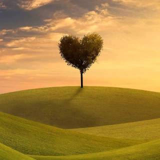 Nature heart wallpaper