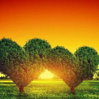 Nature heart wallpaper