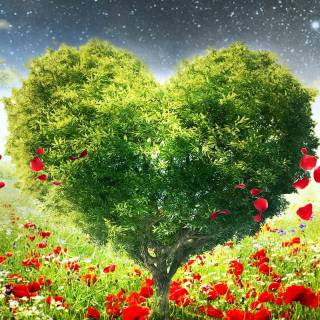 Nature heart wallpaper