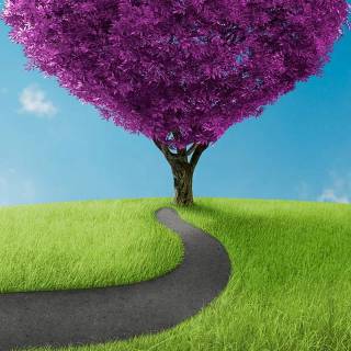 Nature heart wallpaper