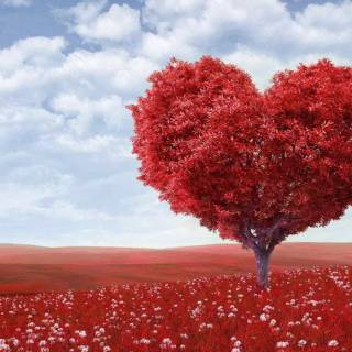 Nature heart wallpaper