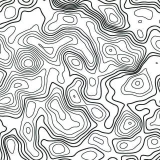 Black and white topographic wallpaper
