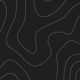 Black and white topographic wallpaper