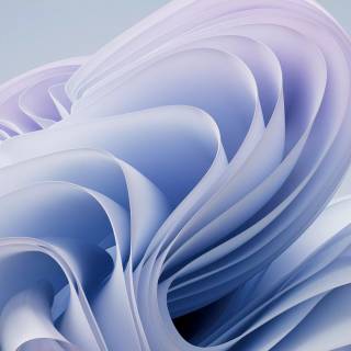 Purple and white 4k wallpaper