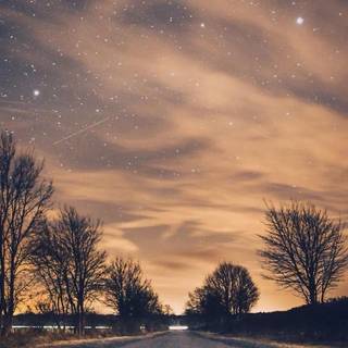 Nature night phone wallpaper