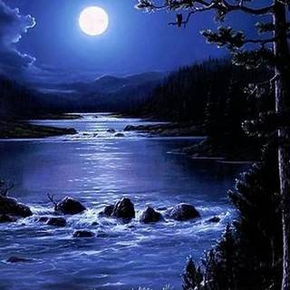 Nature night phone wallpaper