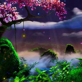 Nature night phone wallpaper