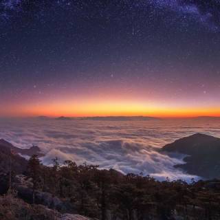 Nature night phone wallpaper