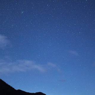 Nature night phone wallpaper