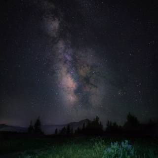 Nature night phone wallpaper