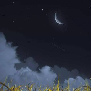 Nature night phone wallpaper